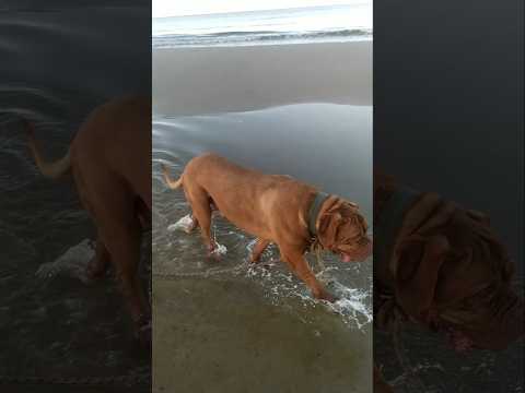 🌴🌾🐾💧🎵🎶