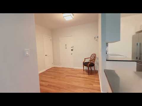 video 1