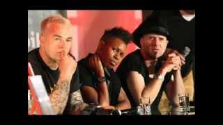 Skunk Anansie   Our Summer Kills The Sun