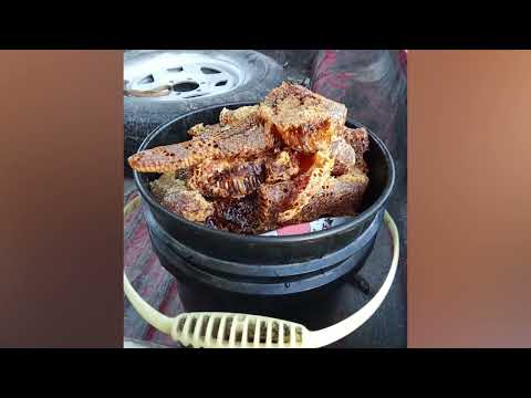 Killer Bee Attack Leaves 6 Dogs Dead in Belize City PT 2