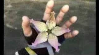 Kingdom Hearts / Kill Hannah