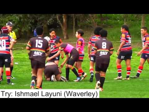 2016 NRL Victoria Under 12 Grand Final Highlights