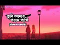 Tumi amar poran pakhi || slow and reverb || তুমি আমার পরান পাখি বাংলা স্