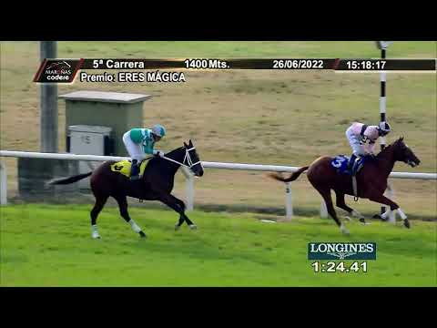 220626 c05 SALPICADO