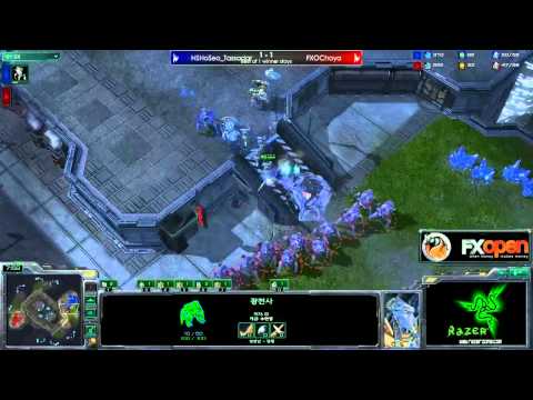 FXOpen Korean KOTH #15 Part 5