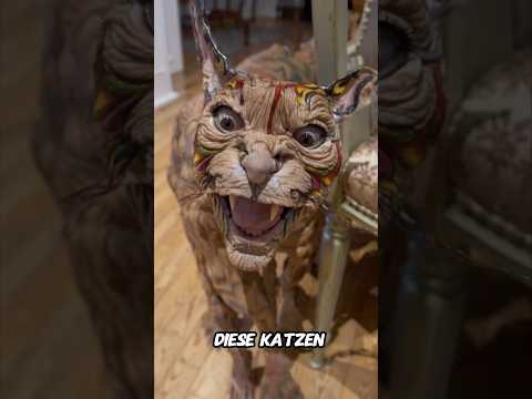 These are the rarest cats in the world, and the last one will soon be gone..#shorts#cats