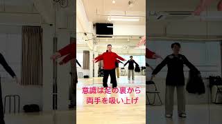 孫建明#china武術 #太極拳 #养生太极#            初心者でも簡単にできますよ