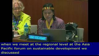 Alma Sinumlagat as Lead Discussant on Lessons from the regions review the HLPF 2018: UN Web TV
