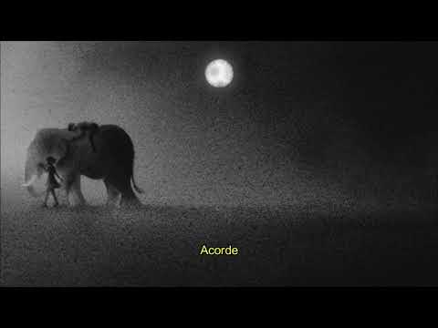 Música Tipo 9 (Nine - Sleeping At Last) Tradução Legendado