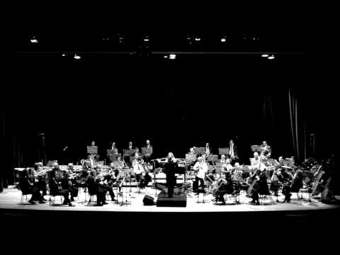 Alegre Corrêa-Marcelo Onofri Orquestra Sinfônica da Unicamp - Vindobona