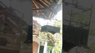 Download lagu Trucukan kaliwungu kudus. mp3 Download lagu Trucukan kaliwungu kudus. mp3