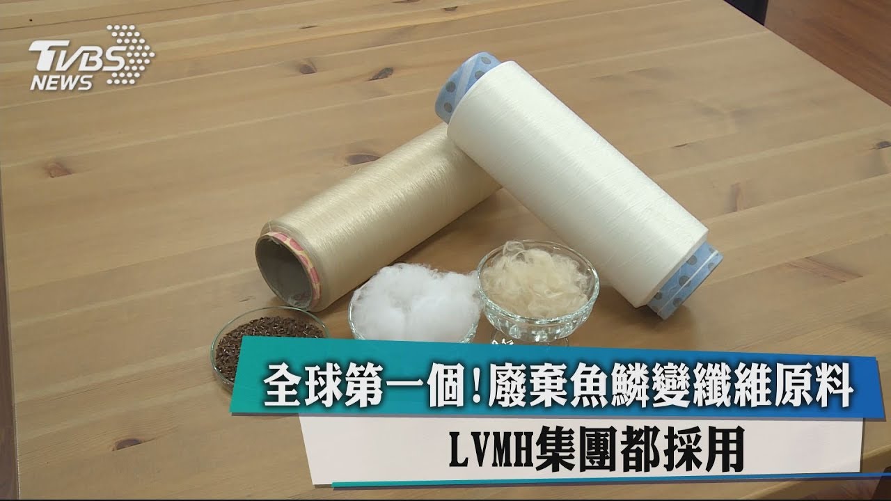 全球第一個!廢棄魚鱗變纖維原料 LVMH集團都採用