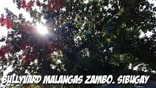 preview picture of video 'Boulevard Malangas Zamboanga Sibugay VLOG  PART 1'