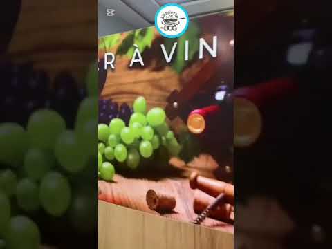 Vidéo 1