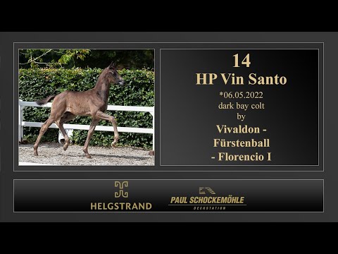 14 HP Vin Santo by Vivaldon - Fürstenball