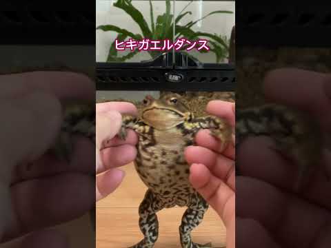 IUCN分類における絶滅の危険性を示す図。