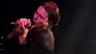 Suede - 09 My Insatiable One (Vancouver 1993)