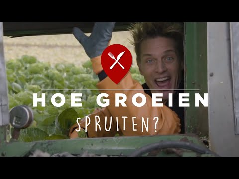 , title : 'Hoe groeien #spruitjes?'