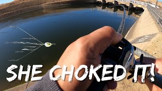 Keeper Striper on The A-Rig! | Catch and Cook Ceviche | DEERFAMY Tripod Chair | CA Aqueduct Fishing