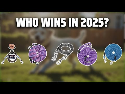 The Top 5 Best Dog Tie Out Rope in 2025 - Must Watch Before Buying!