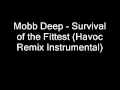 Mobb Deep - Survival of the Fittest (Havoc Remix ...