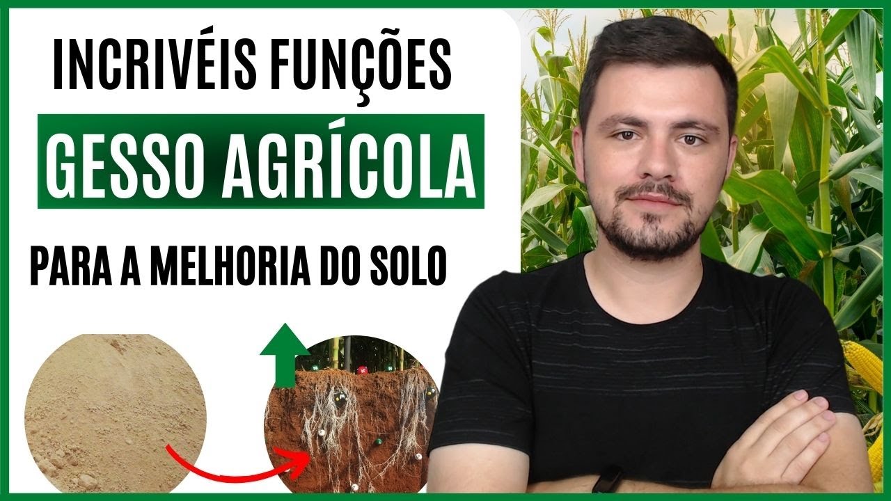 Incríveis funções do GESSO AGRÍCOLA para a melhoria da fertilidade do solo
