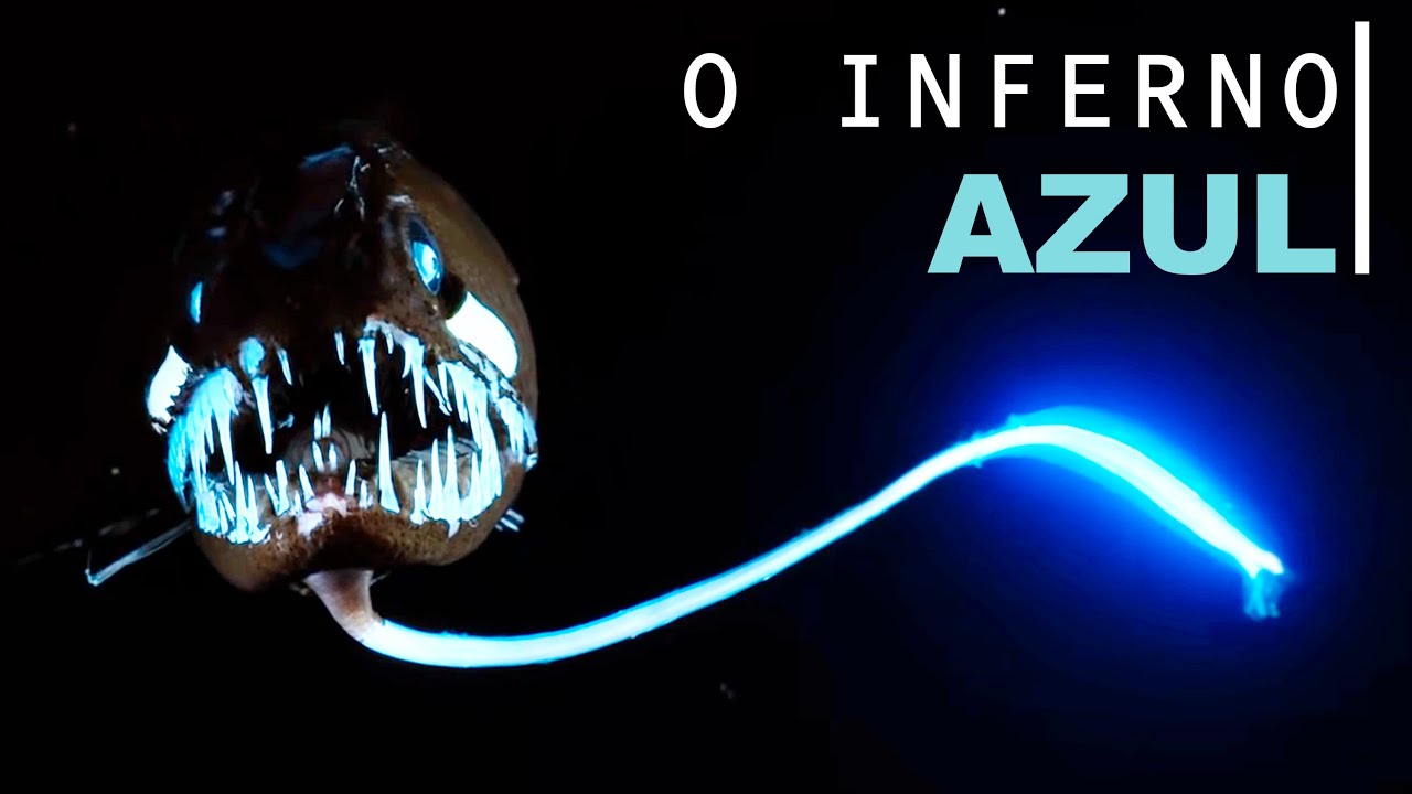 TALASSOFOBIA EXTREMA! (NÃO ASSISTA SE TIVER)