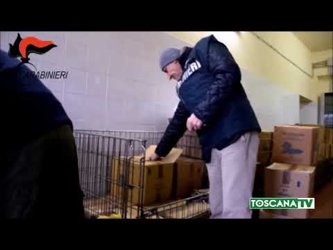 2020-11-03 PISTOIA - NAS STRONCA TRAFFICI FALSI VINI ITALIA-CINA