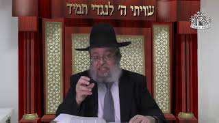 דף היומי בחצי שעה - עירובין דף פ"ג