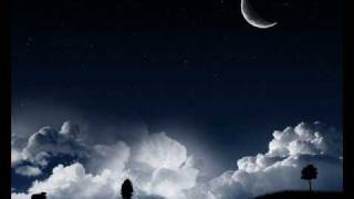 D.L.S - Wired to the Moon