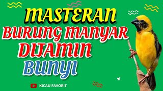 Download lagu Blur 11 Masteran Burung Manyar Kembang dijamin Langsung Gacor - Kicau Favorit mp3 Download lagu Blur 11 Masteran Burung Manyar Kembang dijamin Langsung Gacor - Kicau Favorit mp3