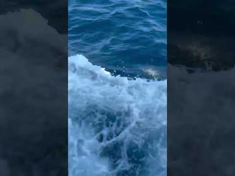 Mermerila Beach Antalya Turkey#antalya#turkey#beach