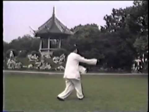 Master Gong Zhong Xiang- Yang style Taiji Quan Demonstration Video (DVD)
