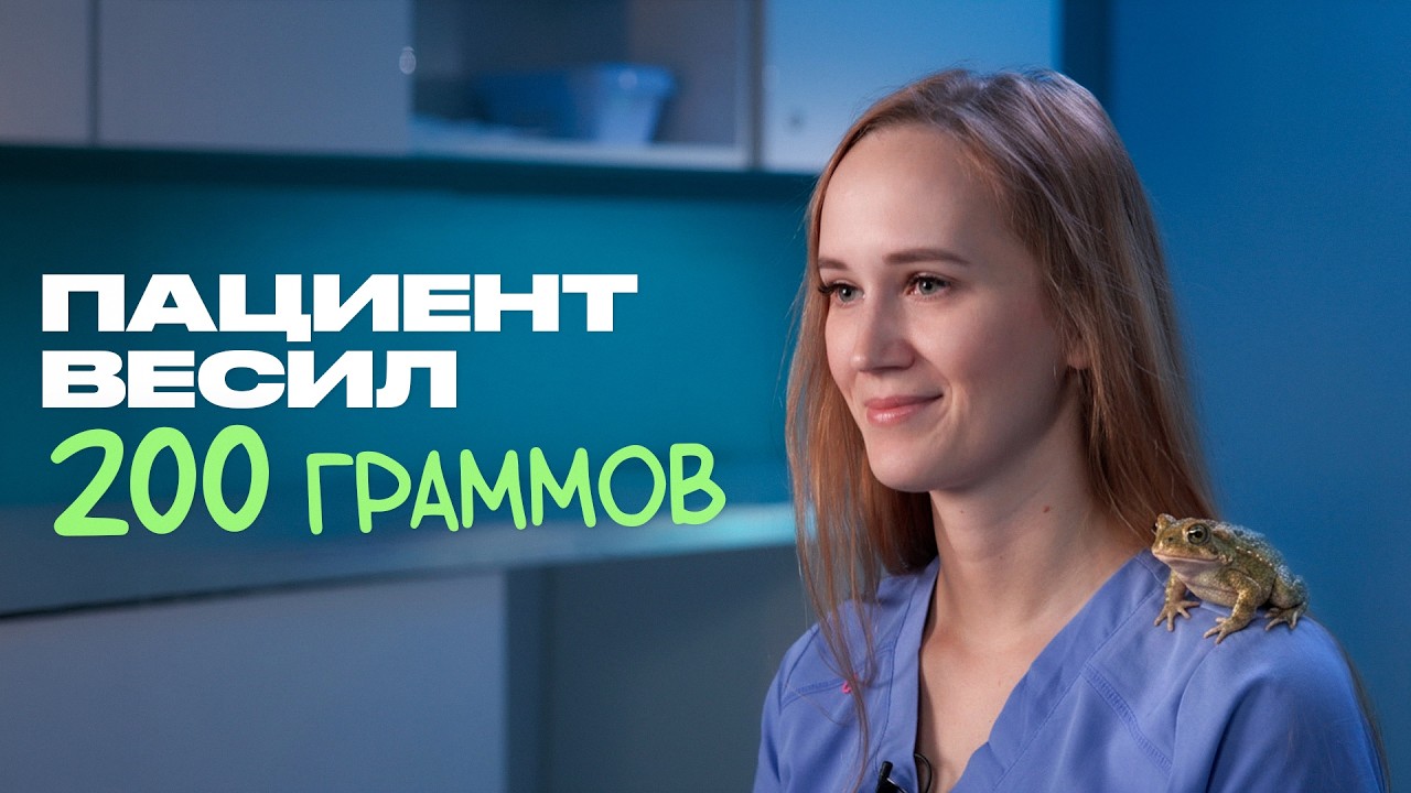 Львы, ежи, жабы, коты – ветеринарный хирург о своей работе и ваших питомцах