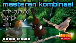 Download lagu Masteran cigun - cililin - prenjak || audio jernih berjeda mp3