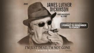 James Luther Dickinson & North Mississippi Allstars "I Forgot to Remember to Forget" Official Audio