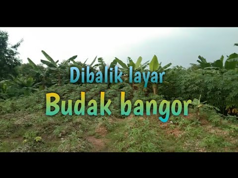 vlog-budak-bangor