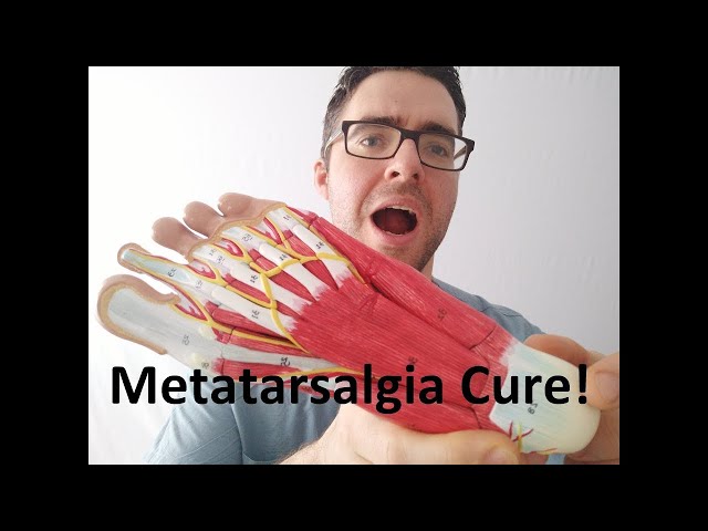Видео Произношение Metatarsalgia в Английский