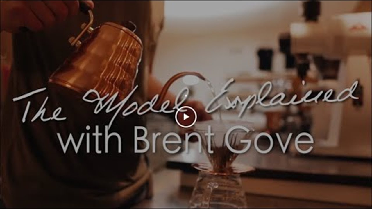 The EXP Model Explained