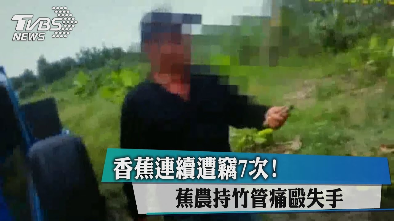 香蕉連續遭竊7次! 蕉農持竹管痛毆失手