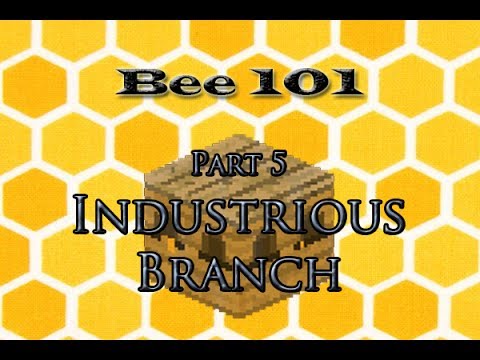 FTB: Industrious-Diligent Branch (Bee 101 Pt. 5)