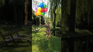 Download lagu kucing lucu meletus balon ijo mp3