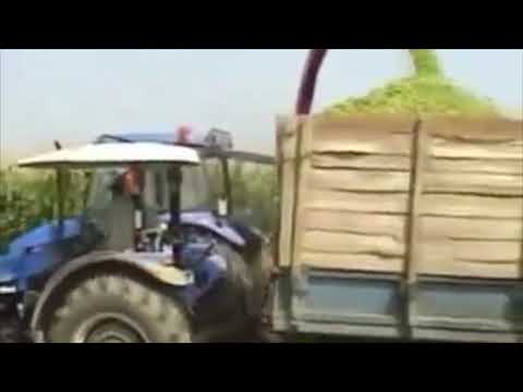 Tosun 2 Sıralı Bağımsız Mısır Silaj Makinası