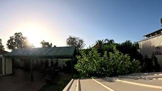 The Wildhearts - The Hard Way