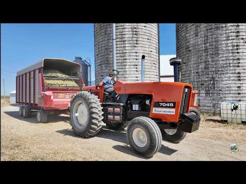 Chopping Corn Silage & Filling Silo near Fort Recovery Ohio