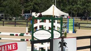 Sam I Am ch/ad speed 1.10m September 2019