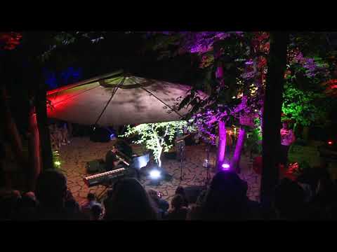 "Got A Match" | Papuna Sharikadze Trio (Live In The Dense Forest)