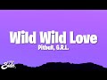 Pitbull Wild Wild Love Lyrics Ft G R L