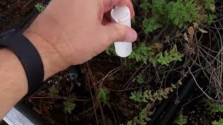 Unboxing: EVO 10 smart soil monitor light moisture temperature monitor $34