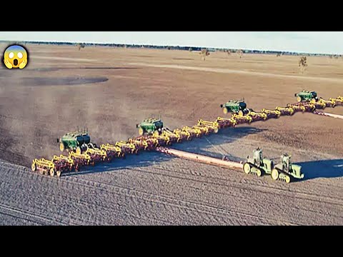 A MAIOR PLANTADEIRA DO PLANETA IMPRESSIONA.